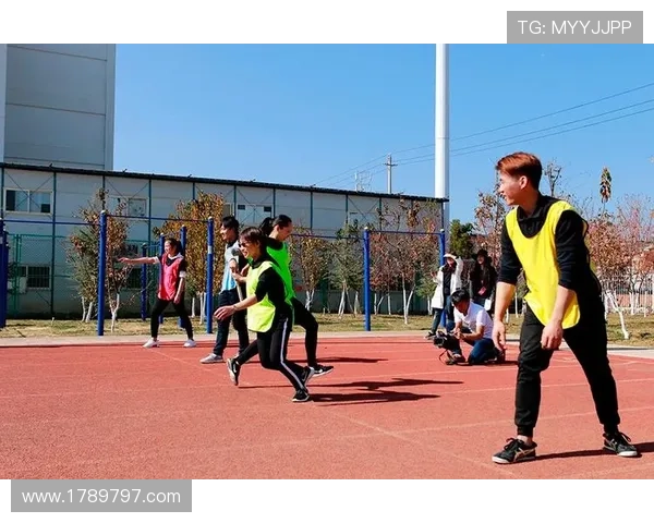 db多宝体育官网的常见问题与解决方案汇总